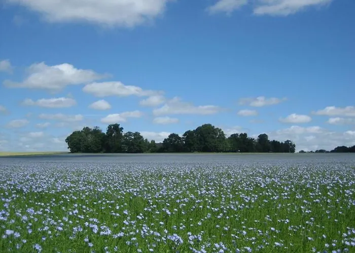 De France - Colombier De Caux Holiday home